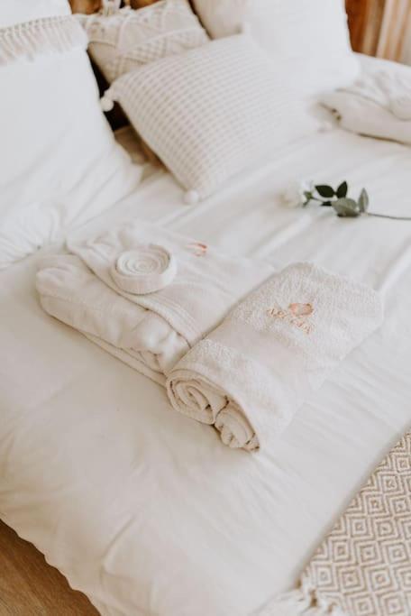 Suite De Charme Avec Jacuzzi Et Cabine Infrarouge Tubize Zewnętrze zdjęcie